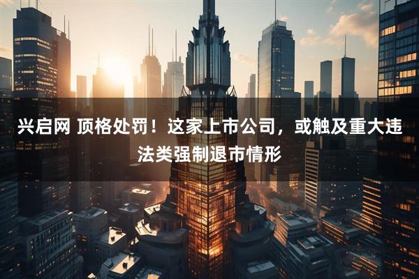 兴启网 顶格处罚！这家上市公司，或触及重大违法类强制退市情形